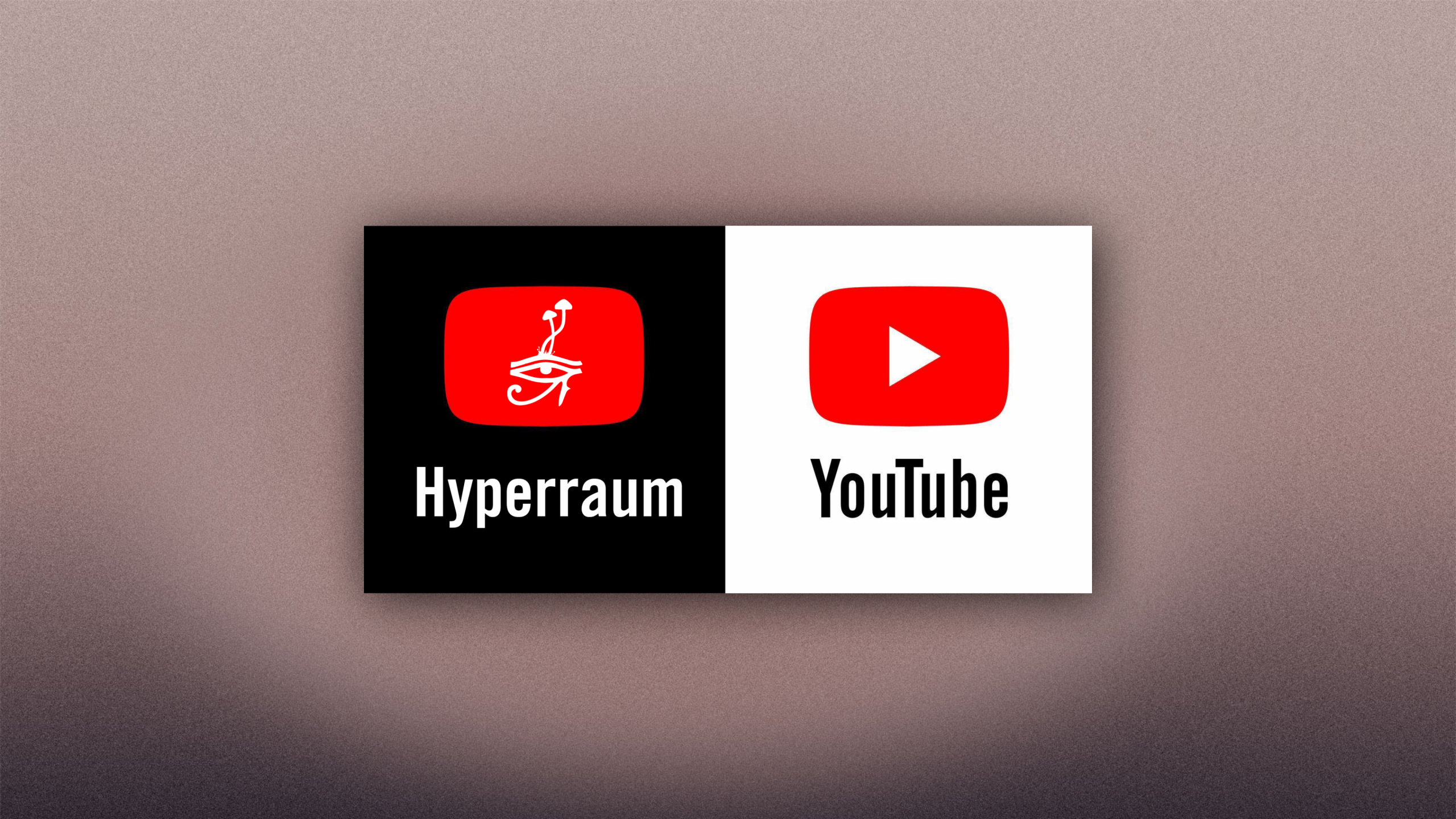 Warum ich Google verklage – Gegen Psychedelika-Zensur und für echte Aufklärung!