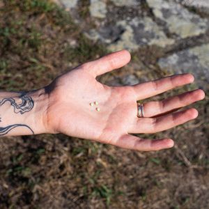 1S-LSD 10mcg Micro Pellets