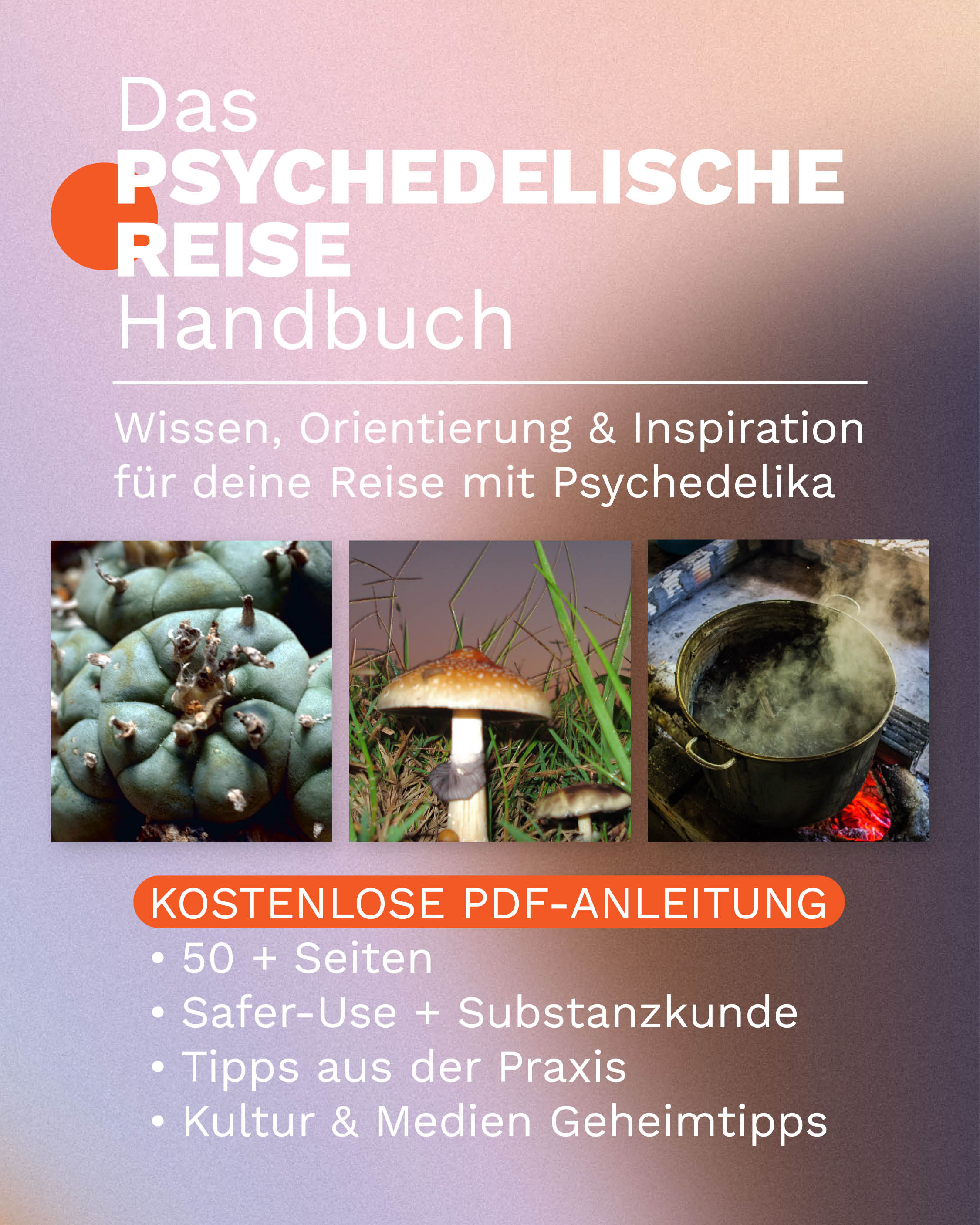 Das psychedelische Reise Handbuch als kostenloses PDF