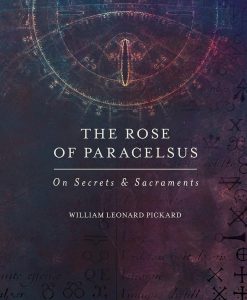 the rose of paracelsus buchcover