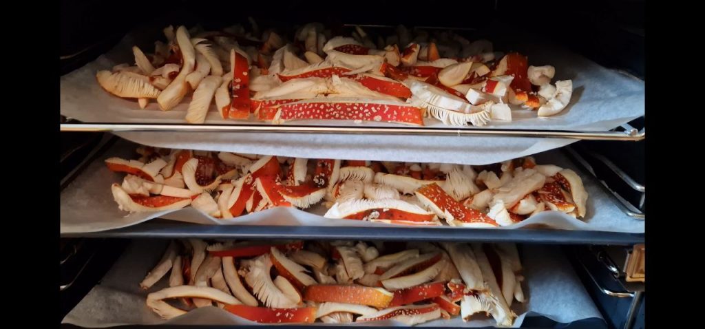 Fliegenpilze im Backofen