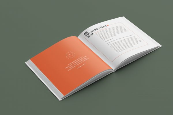 journal_infopage1_mockup journal_infopage1_mockup