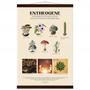 Entheogene – Psychoaktive Pflanzen & Pilze | Design Poster mit Holzhänger 40x60 cm