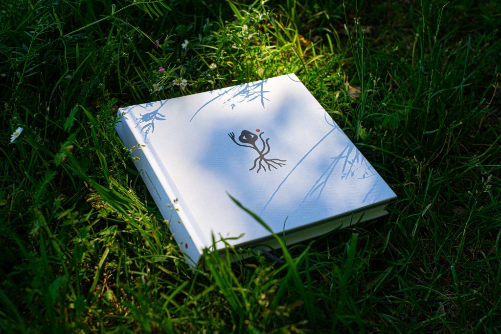 Das Psychedelische Reise Journal