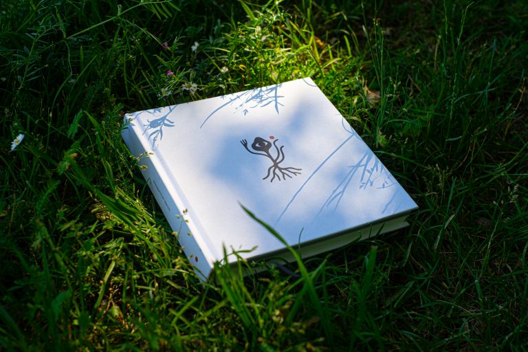 Das Psychedelische Reise Journal
